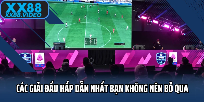 Các giải đấu hấp dẫn nhất bạn không nên bỏ qua